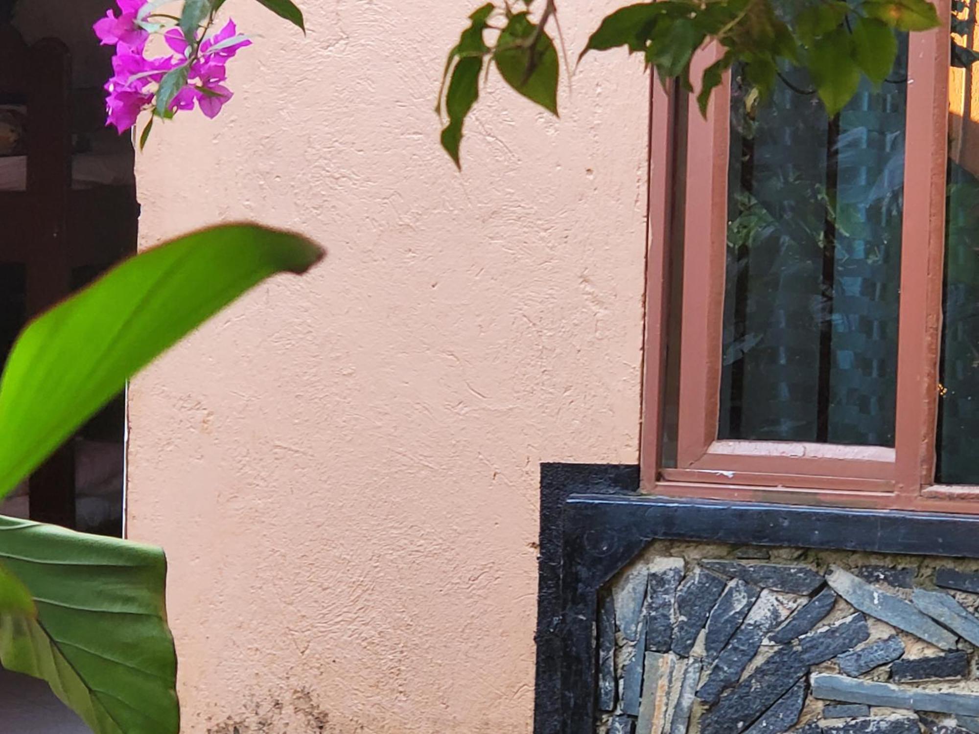 Gorilla African Guest House Entebbe Exterior photo